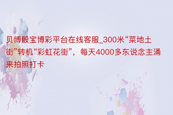 贝博骰宝博彩平台在线客服_300米“菜地土街”转机“彩虹花街”，每天4000多东说念主涌来拍照打卡