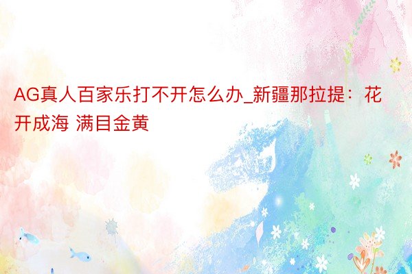 AG真人百家乐打不开怎么办_新疆那拉提：花开成海 满目金黄